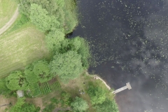 20_Alkukesän kasvua