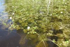 02_Järvisätkin2