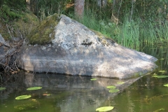 Vesiraja