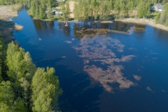 Vesiruttolauttoja_21052018_Sarkasten-lahdella_1