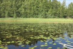 näyte4